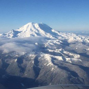Meet your Posher, Terry